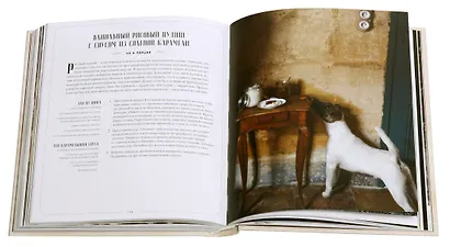 Французская домашняя кухня. Сюжеты и рецепты виноградного края - фото 5