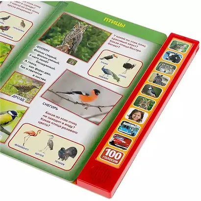 100 голосов окружающего мира (10 звуковых кнопок, 100 звуков) - фото 4