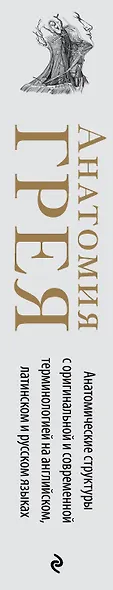 Анатомия Грея. Анатомические структуры с оригинальной и современной терминологией на английском, латинском и русском языках - фото 5