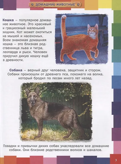 Животные мира.Энциклопедия для самых маленьких - фото 2