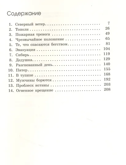 Дорогой огня - фото 2