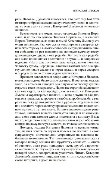 Леди Макбет Мценского уезда - фото 8