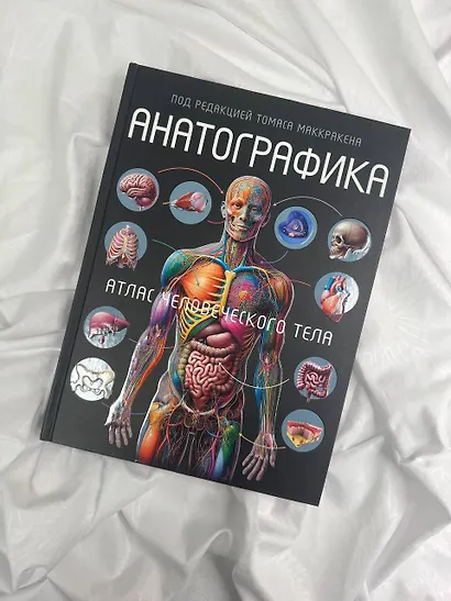 Анатографика - фото 4