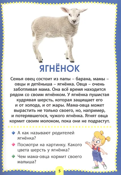 Детеныши животных. Фотокнига для самых маленьких - фото 5