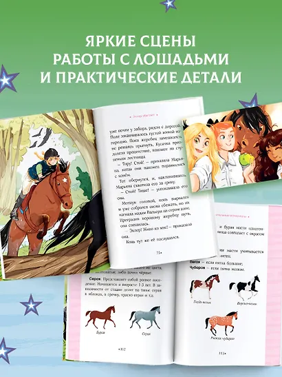 Академия верховой езды. Лошадь для Марьяны - фото 7