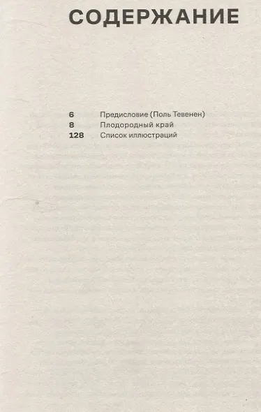 Плодородный край. Пауль Клее - фото 2