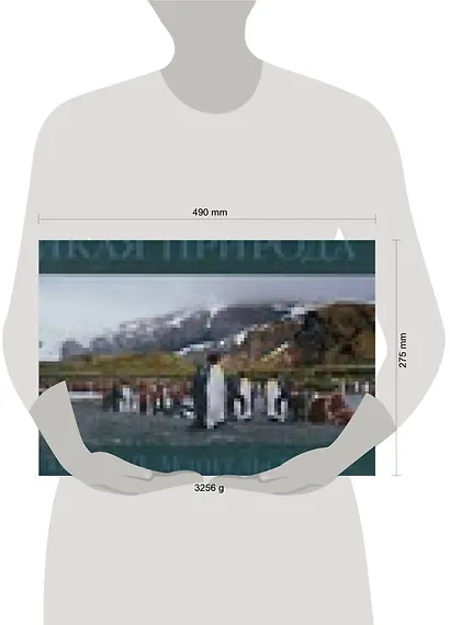 "Дикая природа"Альбом - фото 2