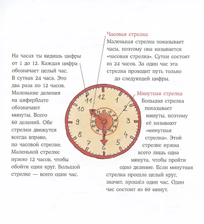 Конни учится определять время - фото 4