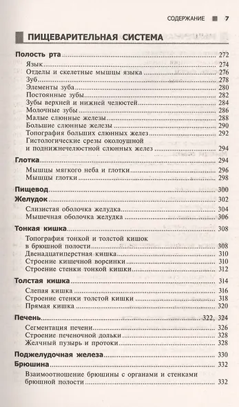 Справочный атлас анатомии человека (На основе Международной анатомической терминологии) - фото 8