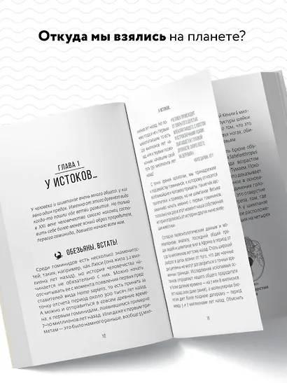 Сапиенс для пляжа: изучаем происхождение человека - фото 5