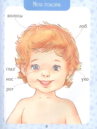 Первая книга малыша. Энциклопедия от 6 месяцев и старше - фото 7