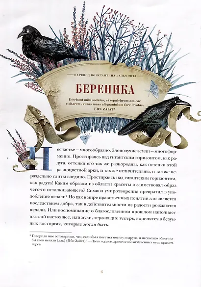 Безумие памяти - фото 5