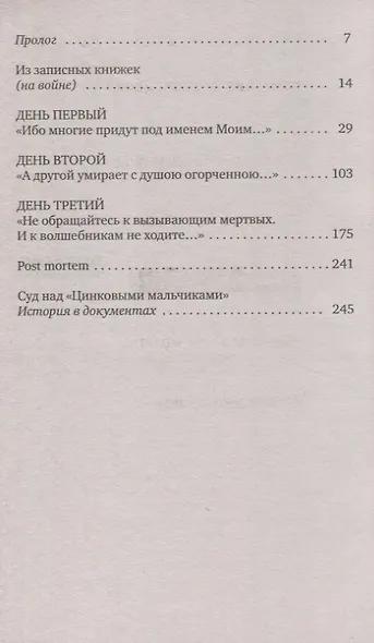 Цинковые мальчики - фото 2