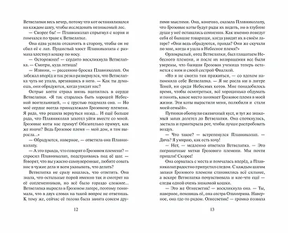 Огненная река - фото 6