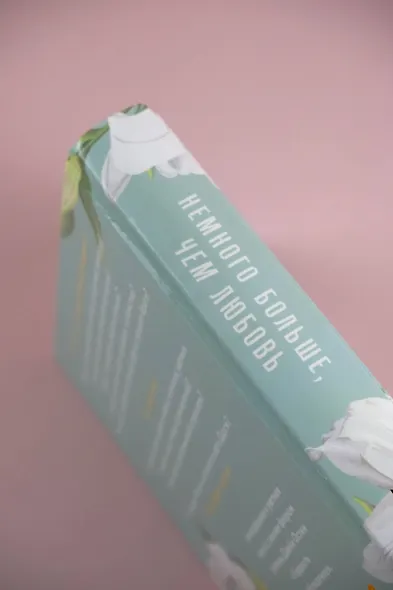 Немного больше, чем любовь - фото 7