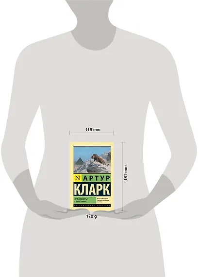 Лев Комарры и другие повести - фото 3