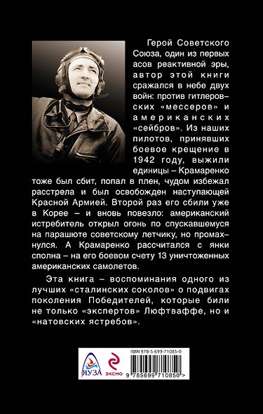 Против "мессеров" и "сейбров". В небе двух войн - фото 2