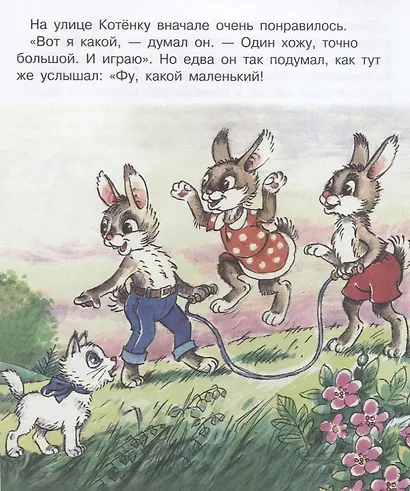 Как стать большим? - фото 3