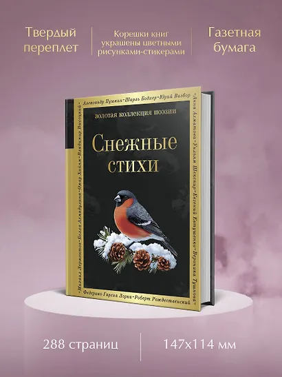 Снежные стихи - фото 5