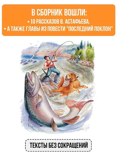 Белогрудка. Рассказы для детей - фото 5