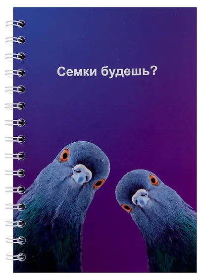 Тетрадь в клетку Hai Bin, "Голуби (семки)", 80 листов - фото 1