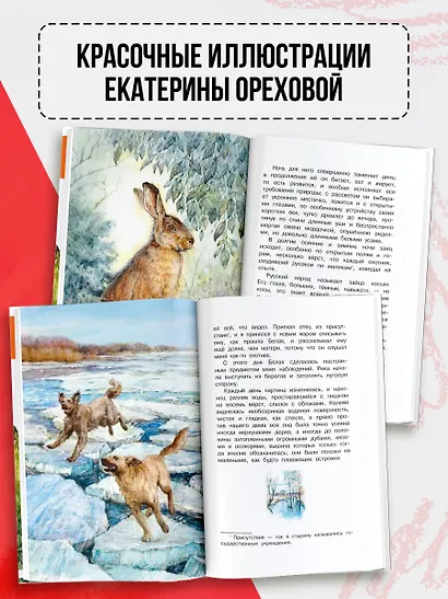 Рассказы о природе - фото 6