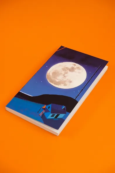 Синяя книга Нэбо - фото 13