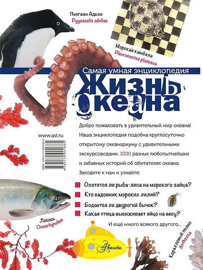 Жизнь океана - фото 2