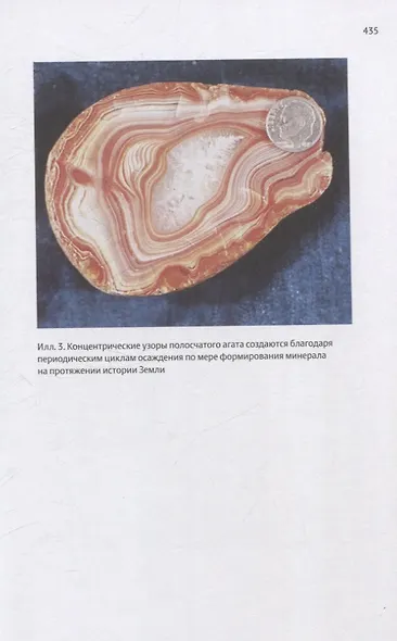 Закономерности в природе: самотканный ковер (в трех частях). Формы - фото 4