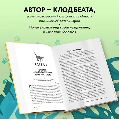 Кошки, которые сводят с ума. Почему кошки психуют и что делать с их проблемным поведением - фото 5