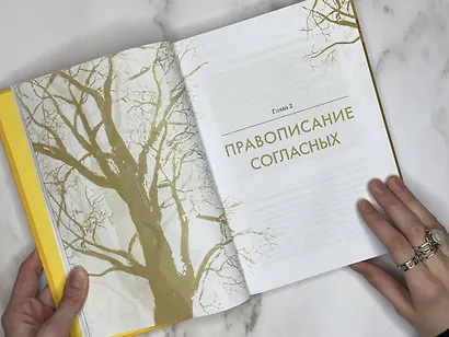 Русский язык. Орфография - фото 7