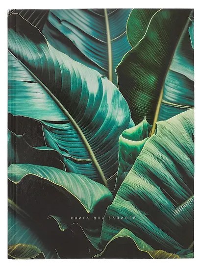 Книга для записей А4 160л кл. "Стрелиция" 7БЦ, глянц.лам, офсет - фото 1