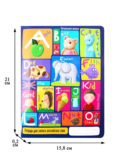 Тетрадь для записи английских слов Айрис, "Весёлый алфавит", А5, 24 листа - фото 3