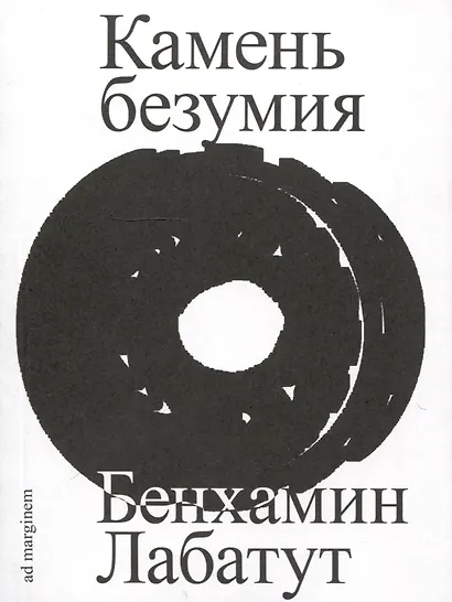 Камень безумия - фото 1