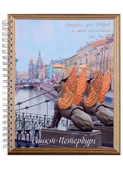 Тетрадь в клетку "СПб", А5, 96 листов, в ассортименте - фото 1