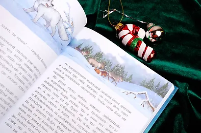 Пони Колокольчик. Чудеса на Северном полюсе - фото 9