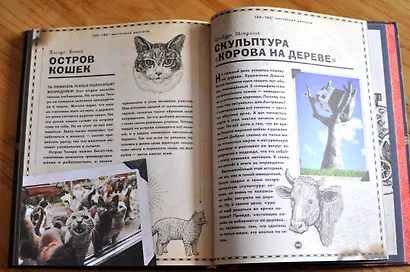 Чудеса света - фото 8