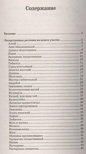 Лекарственные и пряные растения:выращиваем - фото 2