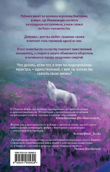 Лунный ветер - фото 2