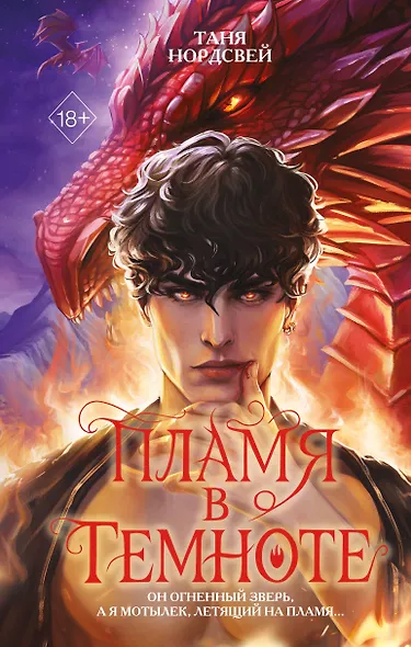 Пламя в темноте - фото 1