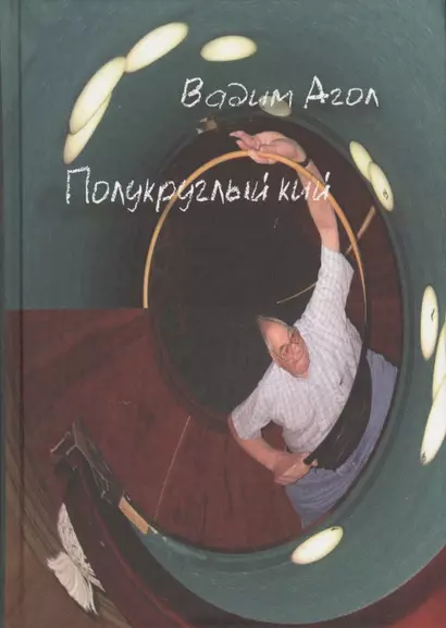 Полукруглый кий (Третья книга стихов выдающегося российского учёного) - фото 1