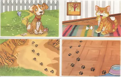 Чьи следы? - фото 2