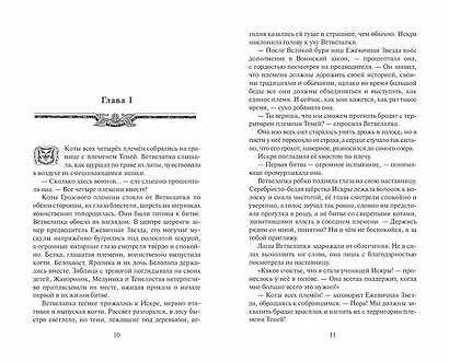 Расколотое небо - фото 5