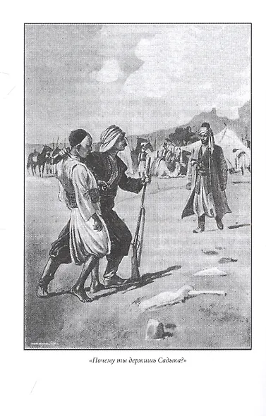 Из Багдада в Стамбул. Том первый - фото 5