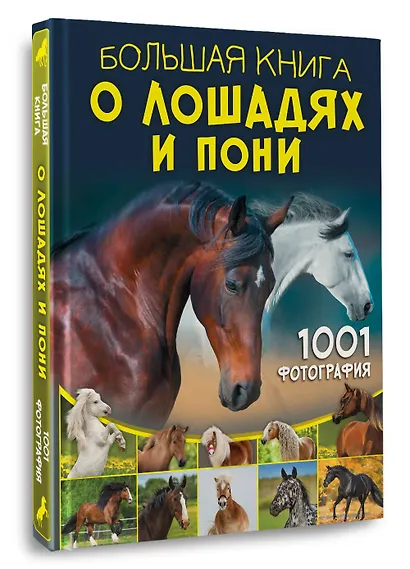 Большая книга о лошадях и пони. 1001 фотография - фото 3