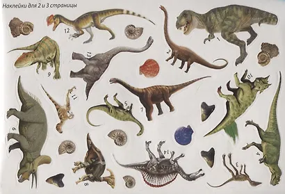 Мир Динозавров - фото 4