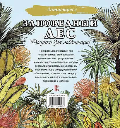 Заповедный лес. Рисунки для медитаций - фото 2