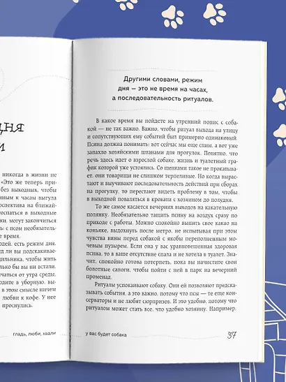 Гладь, люби, хвали. Нескучное руководство по воспитанию собаки (новое оформление 2026) - фото 10