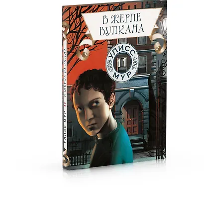 В жерле вулкана - фото 2