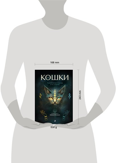Кошки. Удивительные породы и их секреты - фото 10